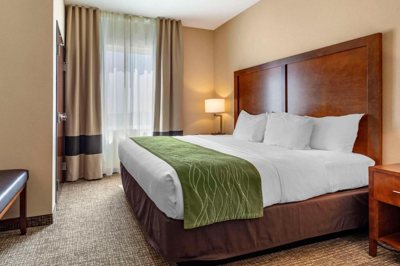 Comfort Inn & Suites Edgewood Ngoại thất bức ảnh