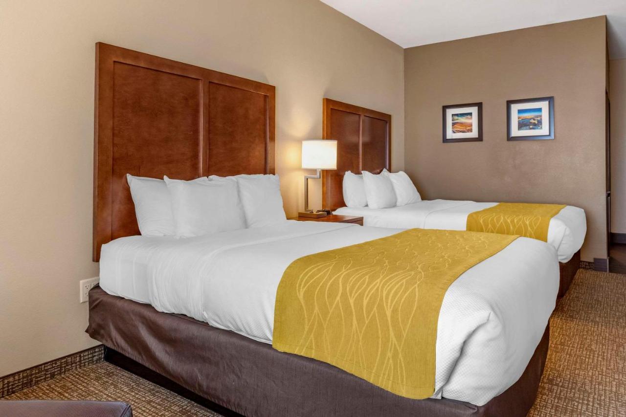Comfort Inn & Suites Edgewood Ngoại thất bức ảnh