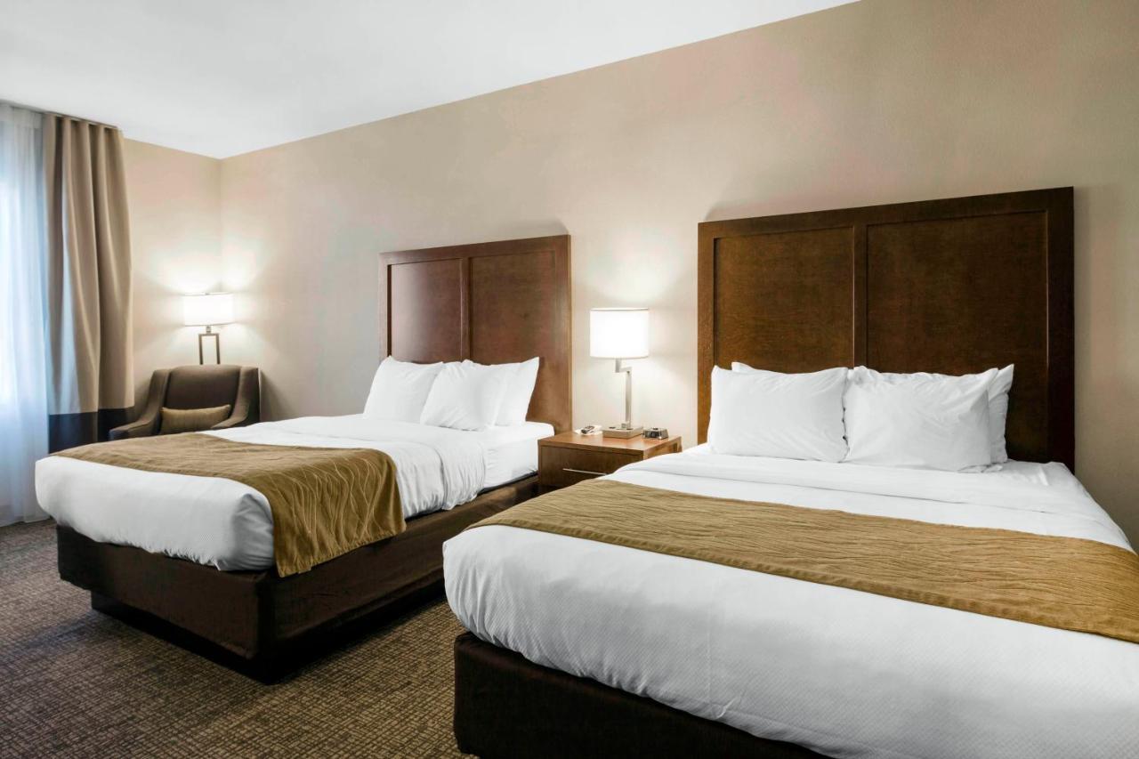 Comfort Inn & Suites Edgewood Ngoại thất bức ảnh